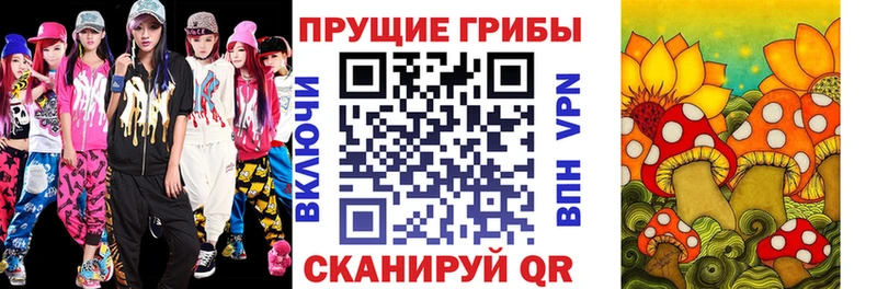 Псилоцибиновые грибы GOLDEN TEACHER  KRAKEN сайт  Мариинский Посад 