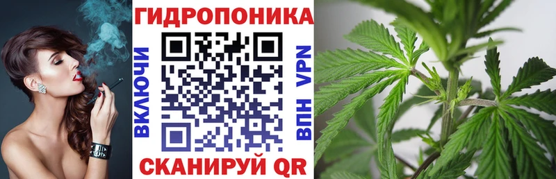 дарнет шоп  Мариинский Посад  Канабис ГИДРОПОН 
